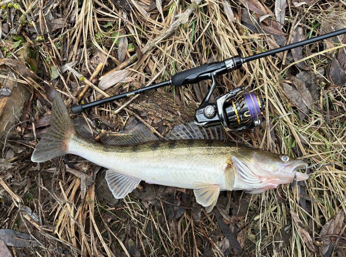 Комплект: Gamakatsu Luxxe Yoihime Sou S73L-solid, shimano twin power lt2000, impulse 1,8’ 45mm в цвете «Дикая малина» от Tkachenko