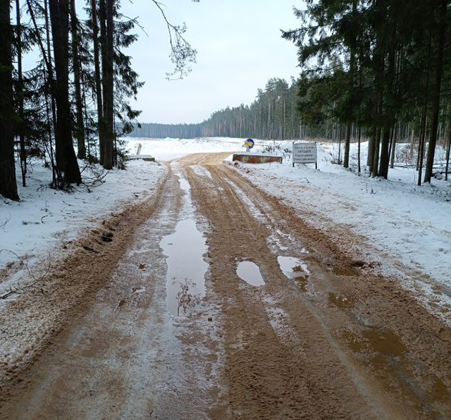 Под Тверью засыпали песком лесную дорогу. Для поселка песка не хватило
