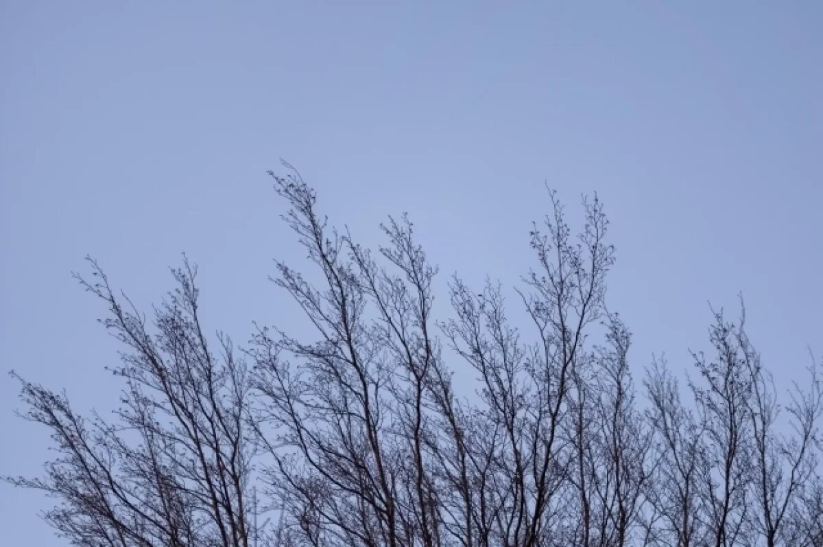    В Воронеже установили январский температурный рекорд