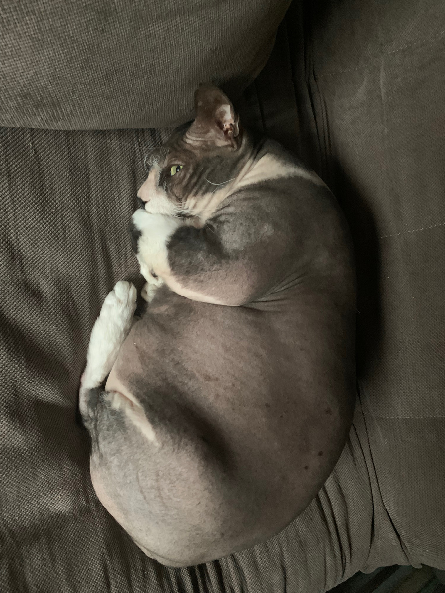 Тимофей следит за вами.