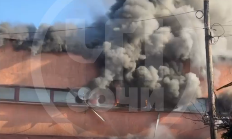    Скриншот видео t.me/chp_sochi