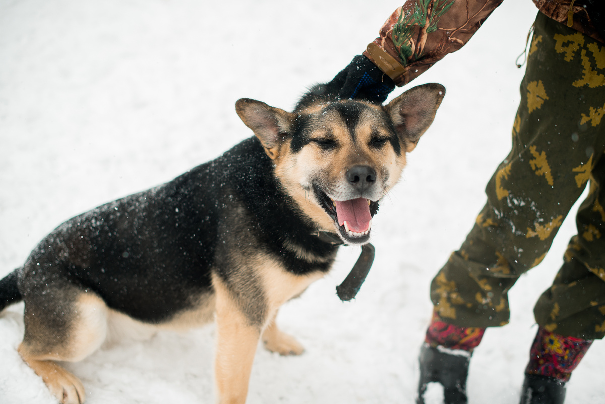 У нас в приюте есть такой же добродушный дружок Купер! Подружится даже с хомяком! 8 903 287-74-18 Мария