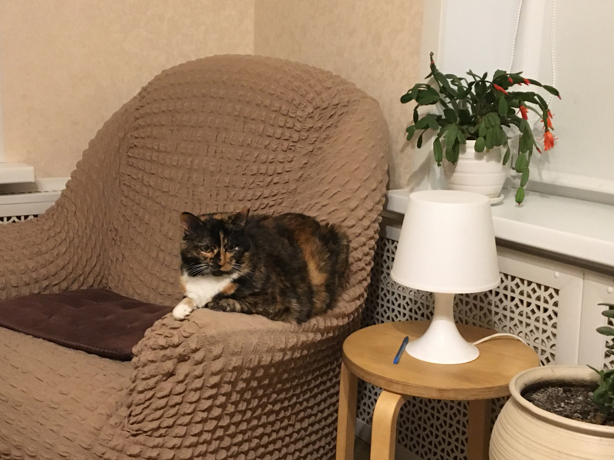 Василиса. Фото автора