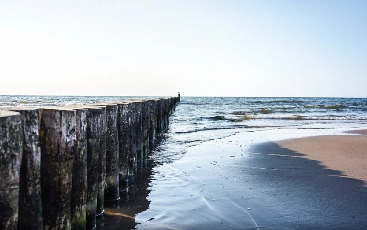    Идущее из РФ судно заподозрили в повреждении подводного кабеля на Балтике