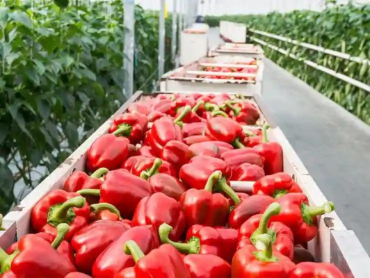 greenhousegrower.com