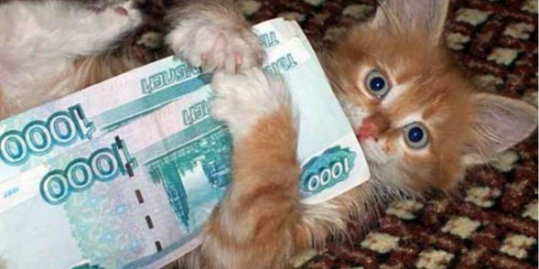 Зарабатывать деньги-это тоже ДАР!