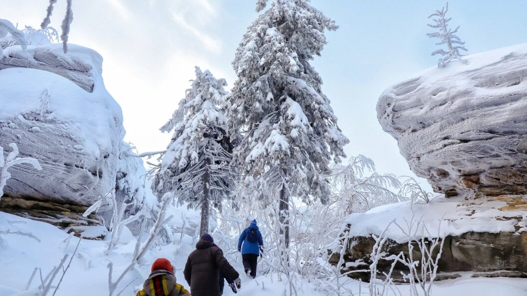    Elena Mayorova/Globallookpress