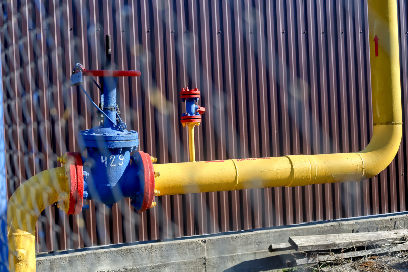    Elena Mayorova/Global Look Press