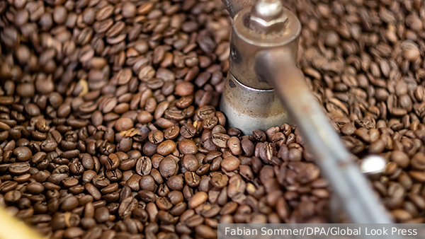     Фото: Fabian Sommer/DPA/Global Look Press   
 Текст: Дмитрий Зубарев