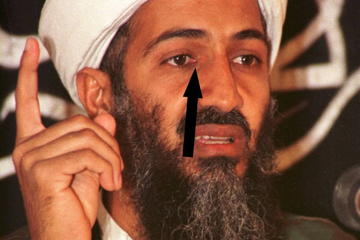    Что обнаружили на компьютерах Бен Ладена