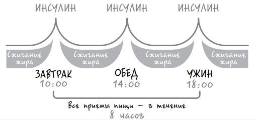 При дробном питании и частых перекусах процессы жиросжигания полностью блокируются