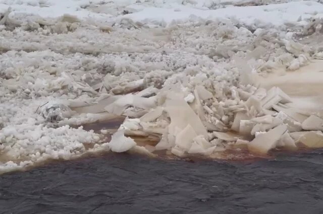    Какая толщина льда на водоёмах в Тверской области 27 января?