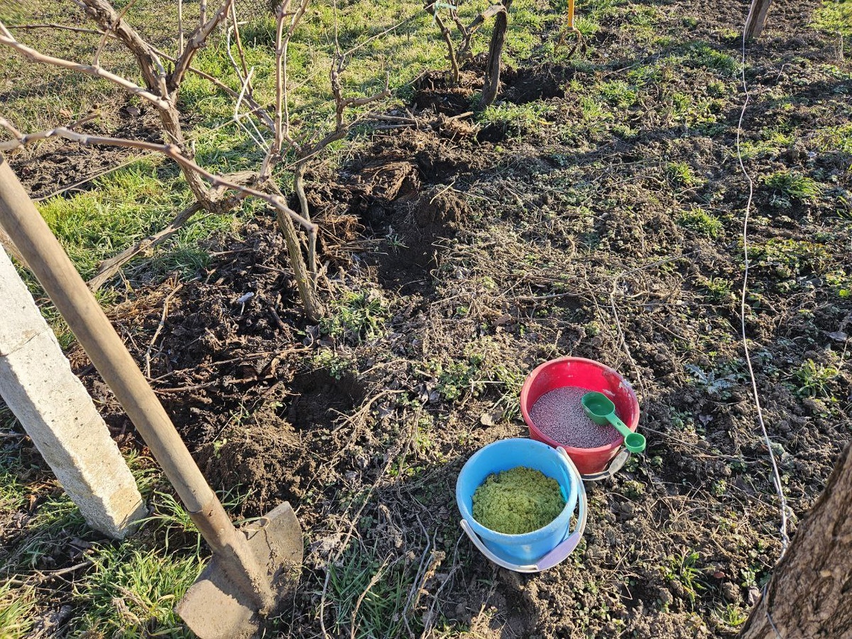 Подготовила удобрения и шурфики 