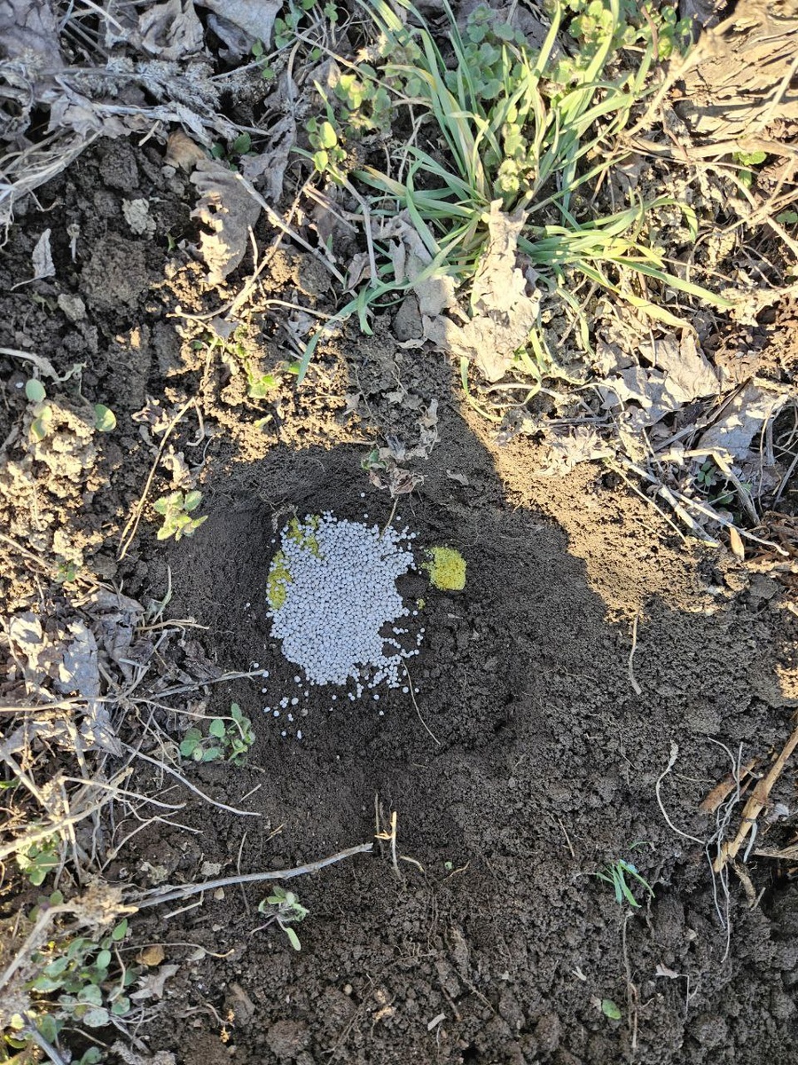 Насыпала удобрения в шурфик