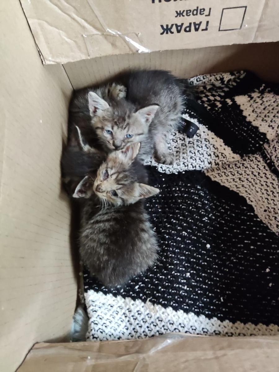 Фото автора