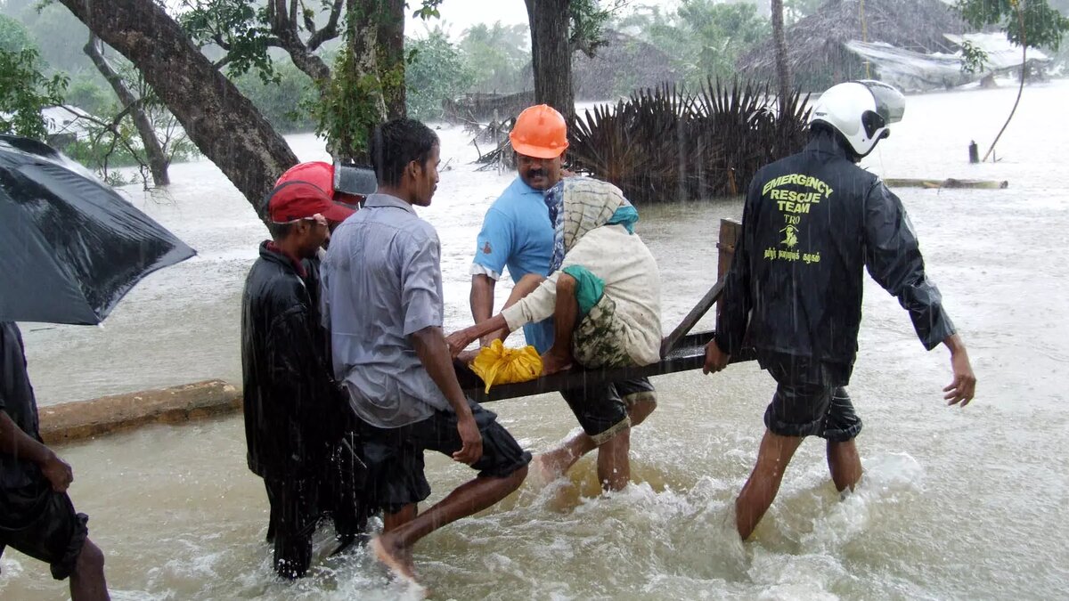     Автор: wikimedia.org