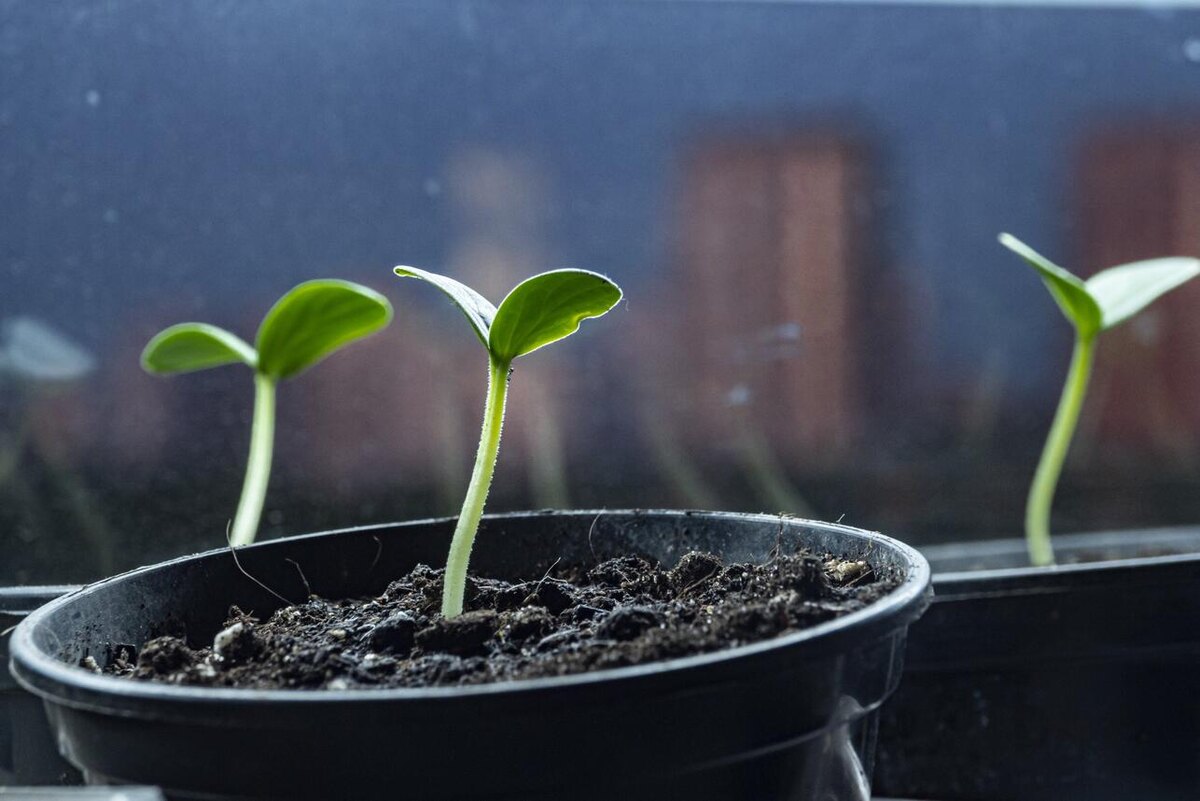     Konstantin Kokoshkin/globallookpress.com