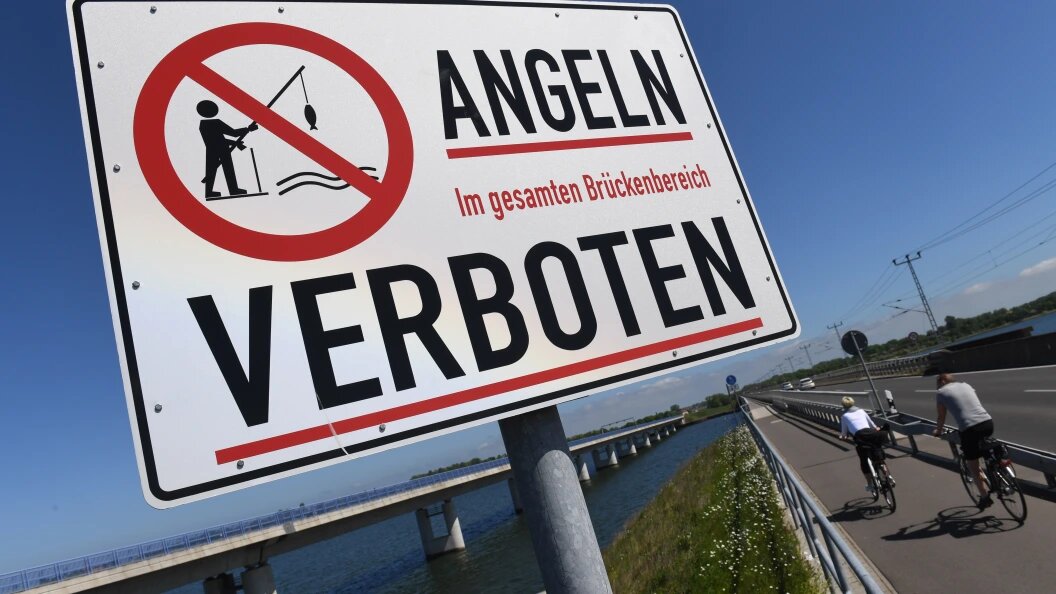    Фото: Stefan Sauer/Globallookpress