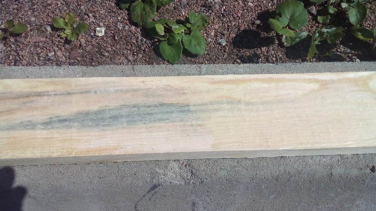 ИЖСЕПТ 500 убирает даже глубокое поражение