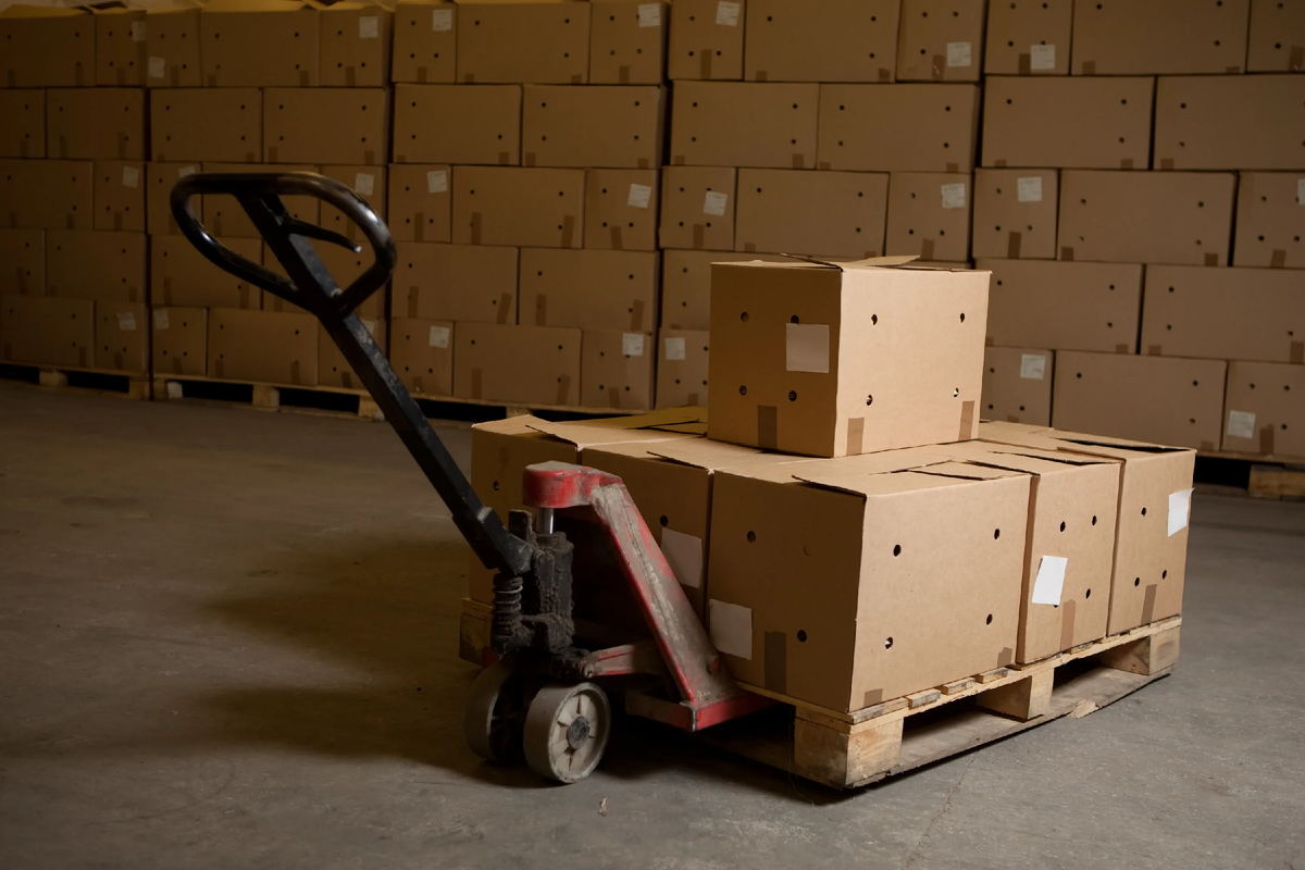 фото из открытых источников интернета.