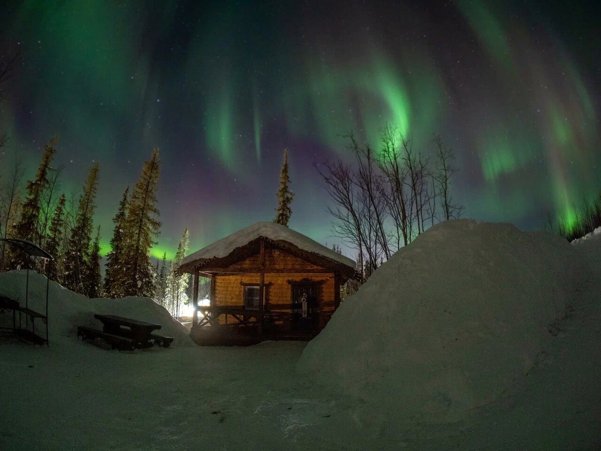 База расположена в живописном заполярном лесу в окружении сосен и тундровых деревьев. Северное сияние в этих местах не редкость. Фото: - / Яндекс Карты