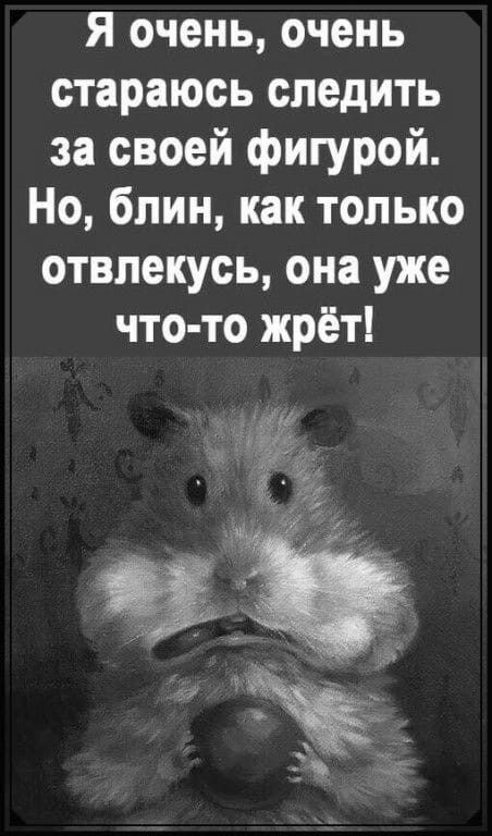 Фото из интернета.