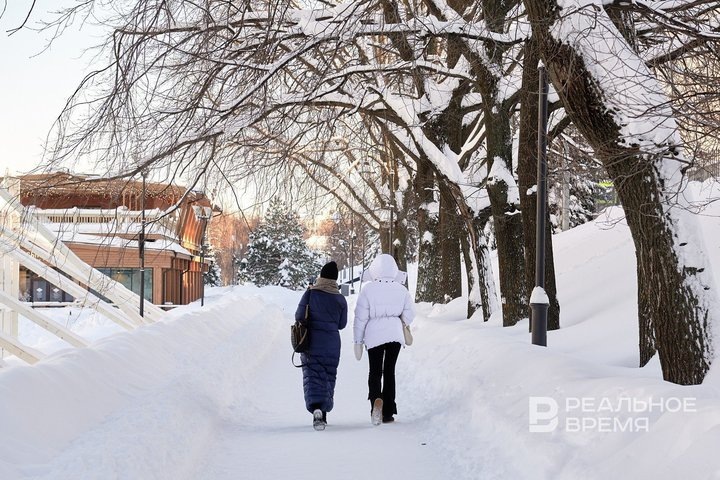 Динар Фатыхов / realnoevremya.ru