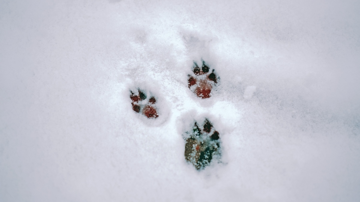 Светлана Мулыкина📷
