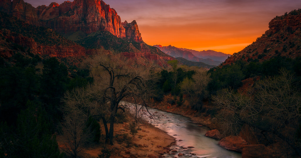 Эти фото дикой природы могут стать обоями - они удивительны (16 снимков)