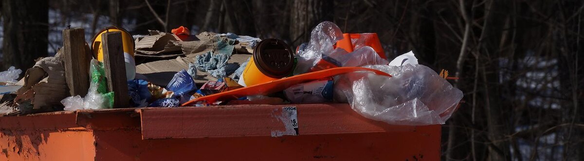    Фото: Сергей Егоров