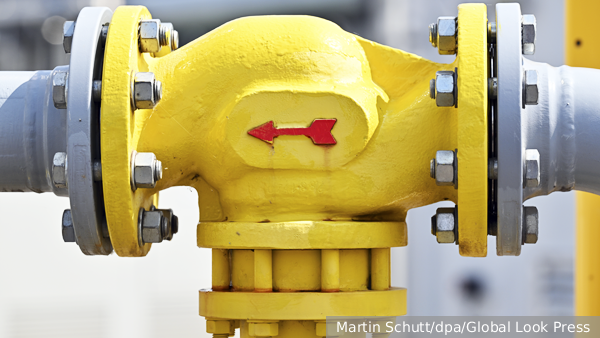     Фото: Martin Schutt/dpa/Global Look Press   
 Текст: Алексей Дегтярев