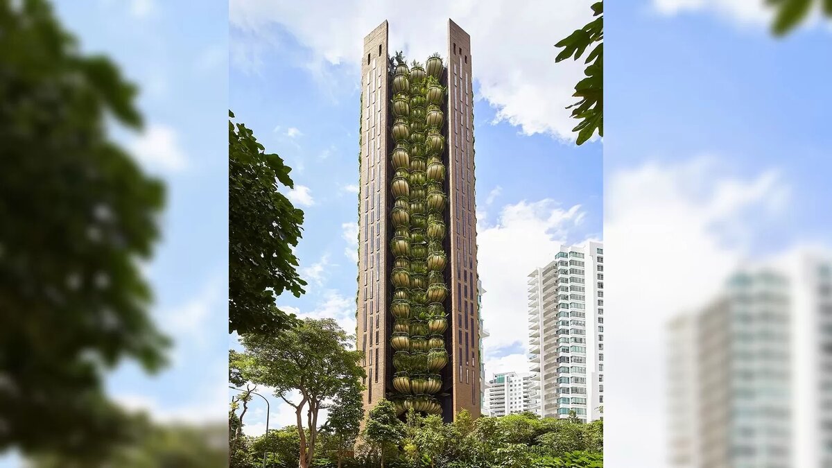 Листайте вправо, чтобы увидеть больше изображений