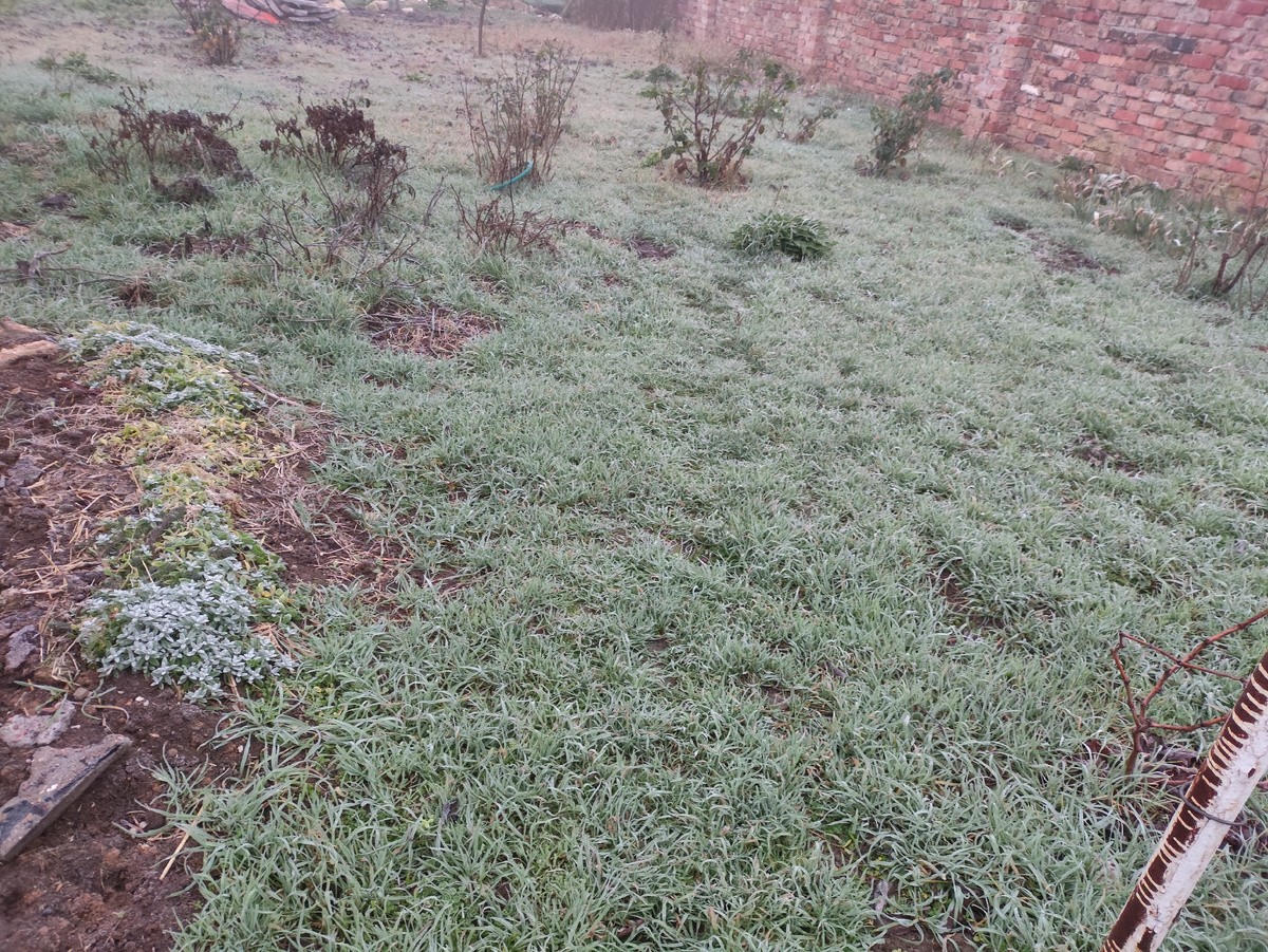 Белая полянка