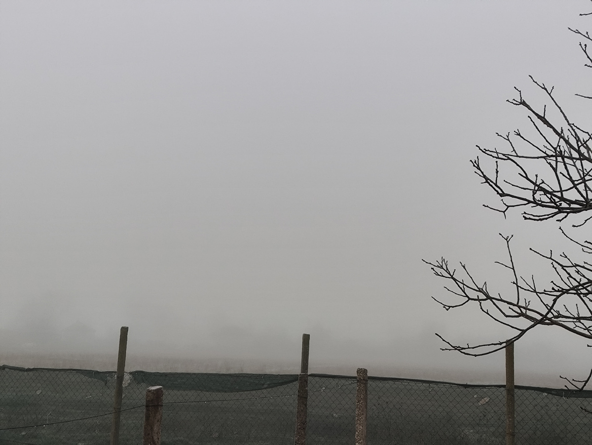 Села снова нет...