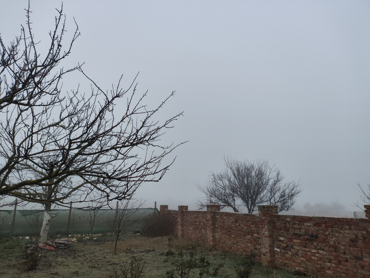 И молоко за забором