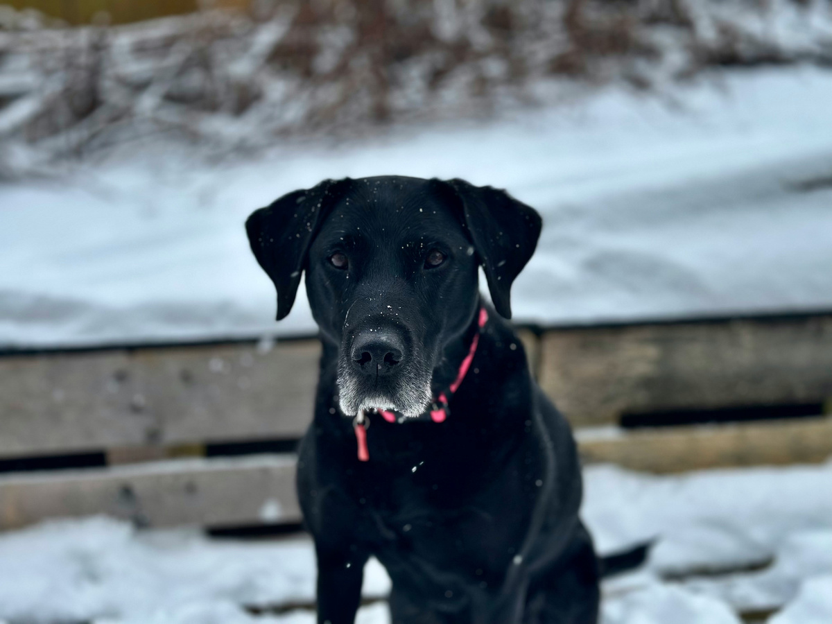 Картинка с бесплатного фотостока https://unsplash.com, автор Jade Detcheverry