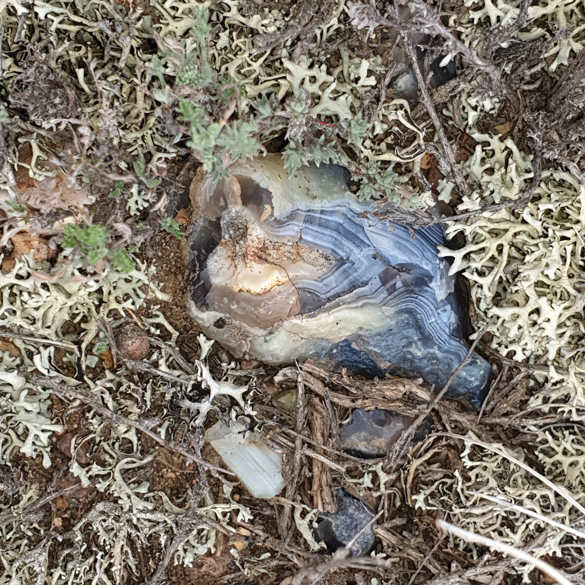 Одна из типичных находок