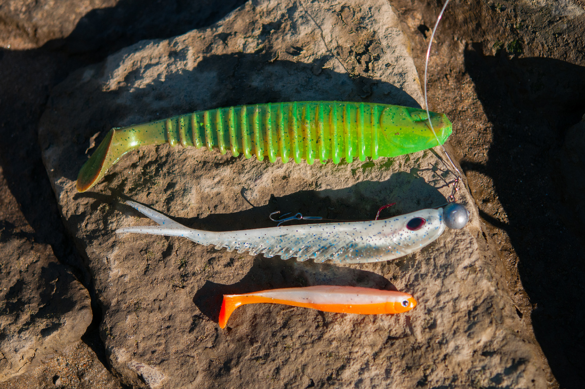 Даже очень крупные резиновые приманки до 25 сантиметров легко атакуются небольшими судаками от 30 сантиметров.