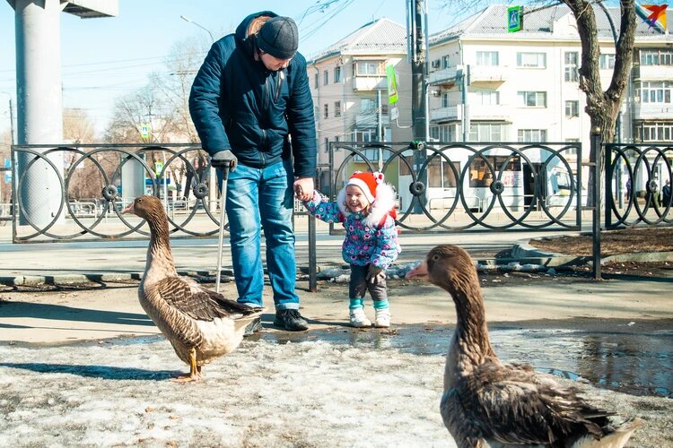 Дети в восторге от пернатых. Фото: Кирилл САДЫКОВ