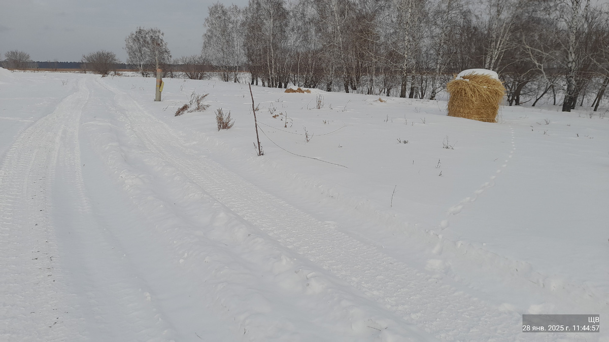 поехала я туда