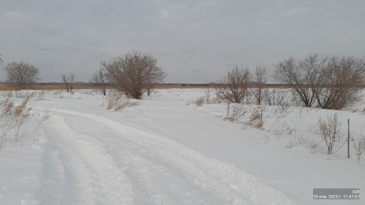 А вон там, направо, между кустов, должна была быть дорога. Через лог.