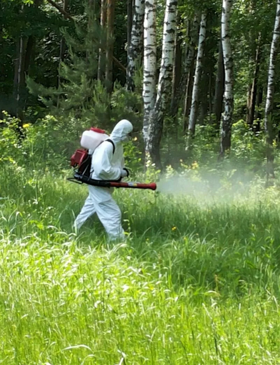 Картинка из интернета 