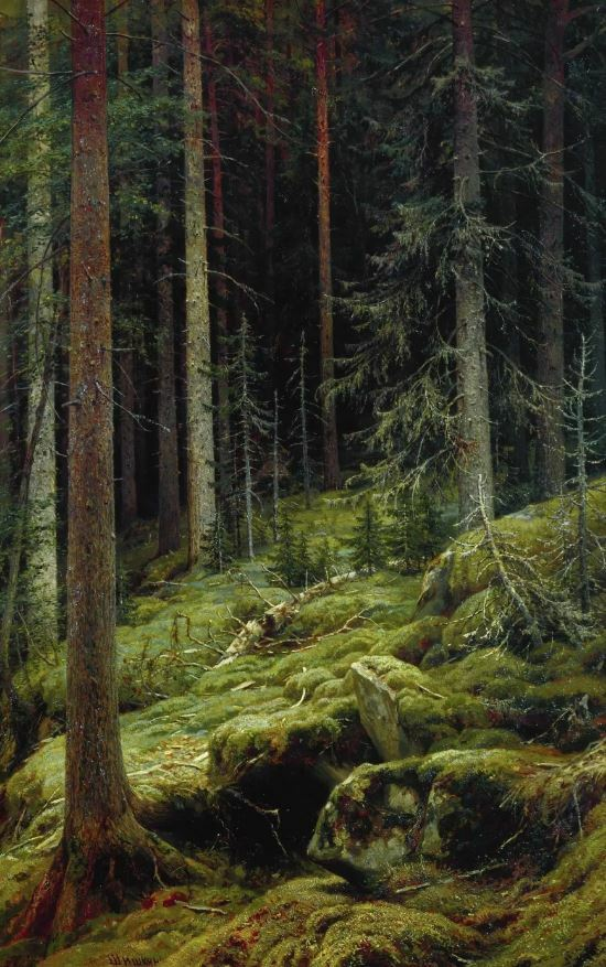 Иван Шишкин. Дебри. 1881. 
Государственная Третьяковская галерея, Москва