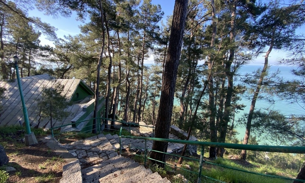 @Slebedeva/Shutterstock