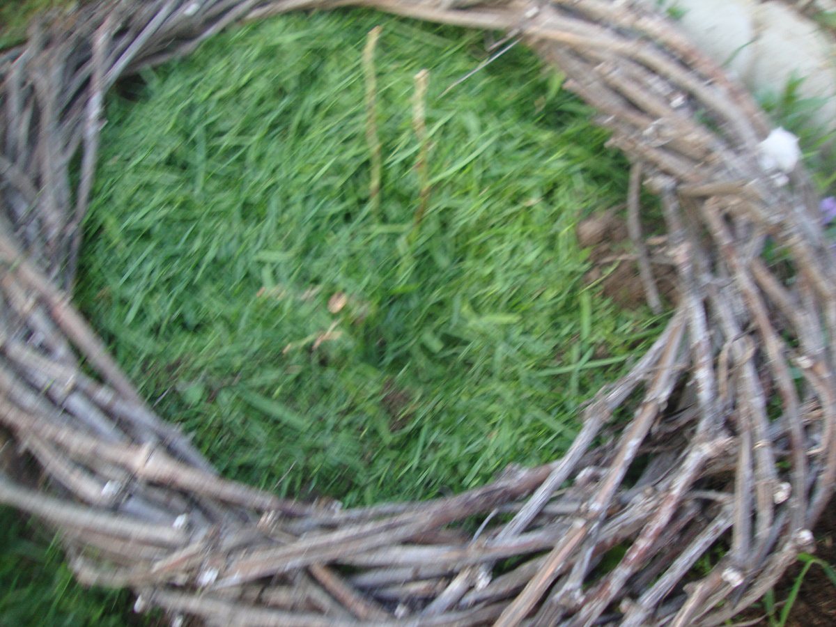 это не она, но примерно так