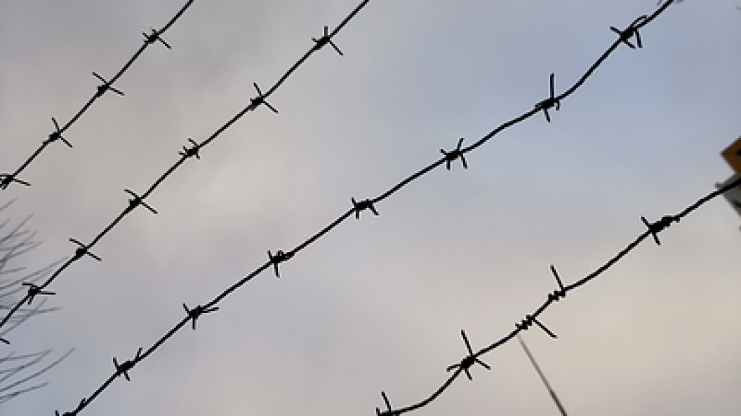    Фото: Maksim Konstantinov/Globallookpress