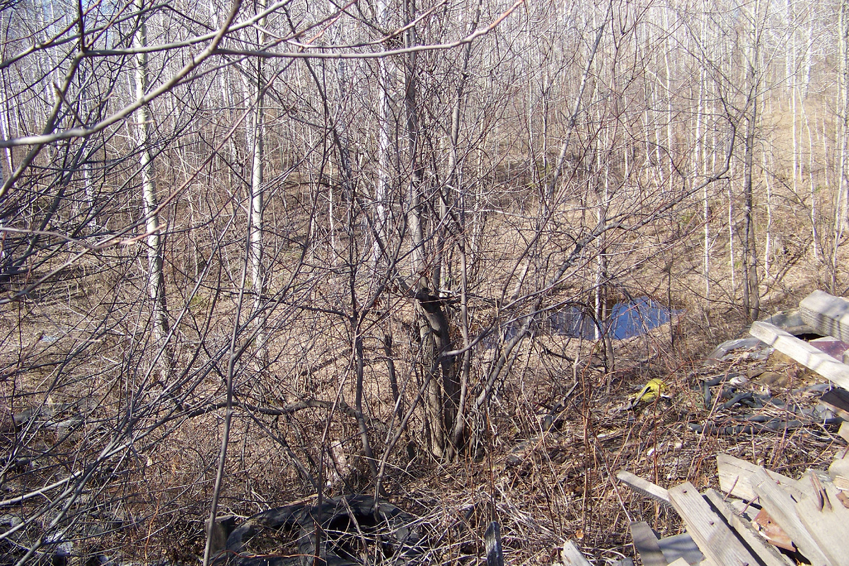 Тот самый котлован