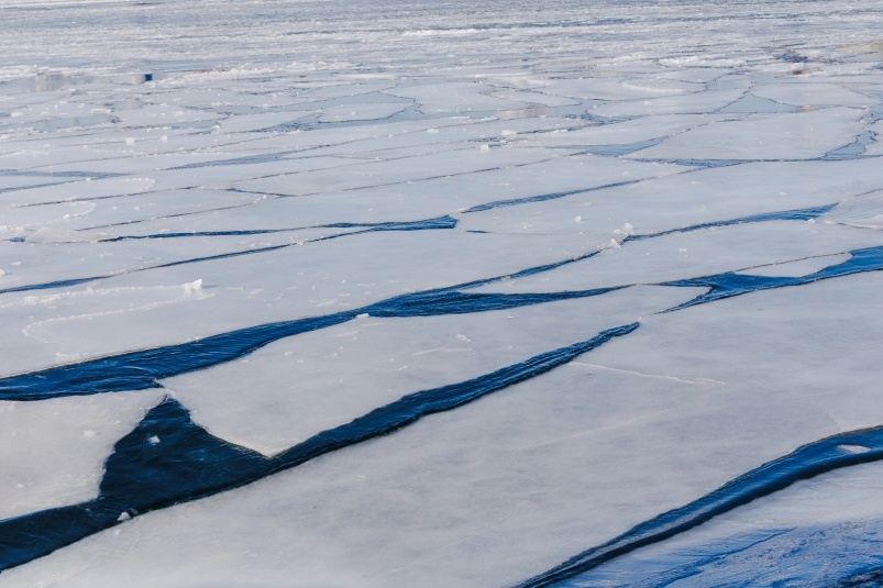    Фото: primamedia.ru Георгий