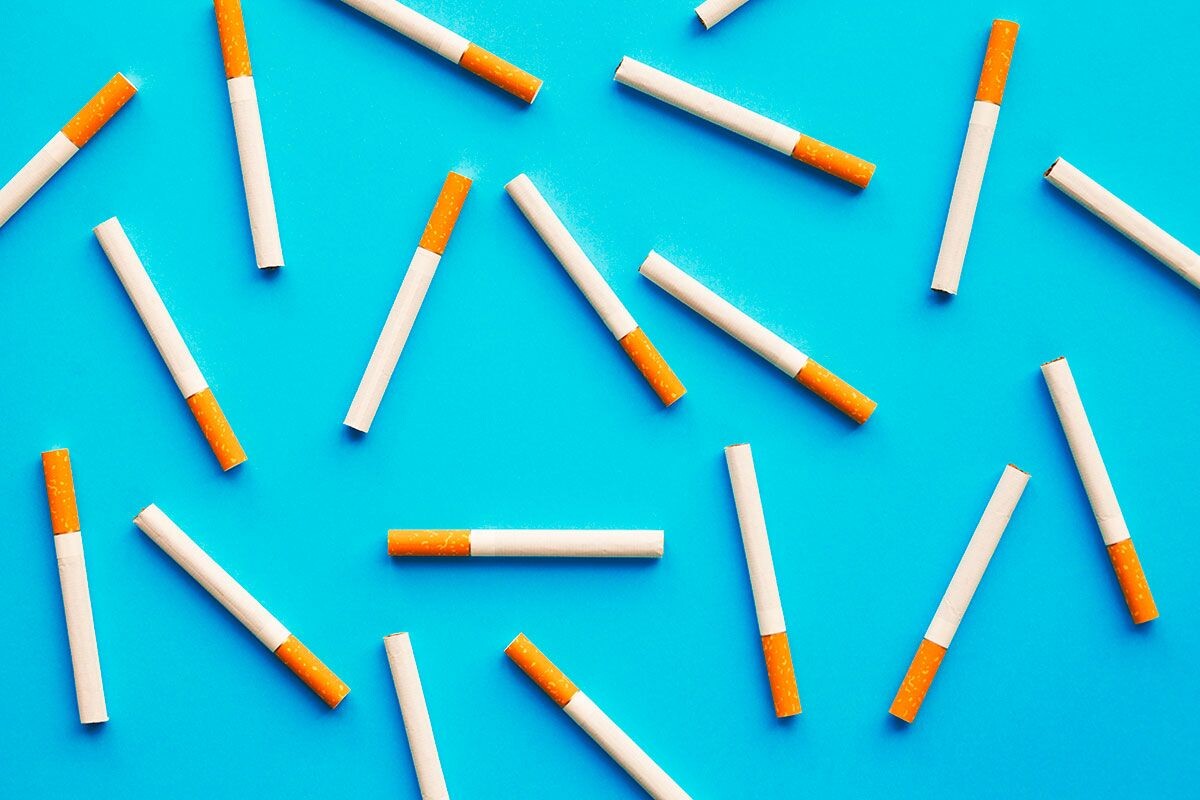    Фото: Alina Kruk / Shutterstock.com