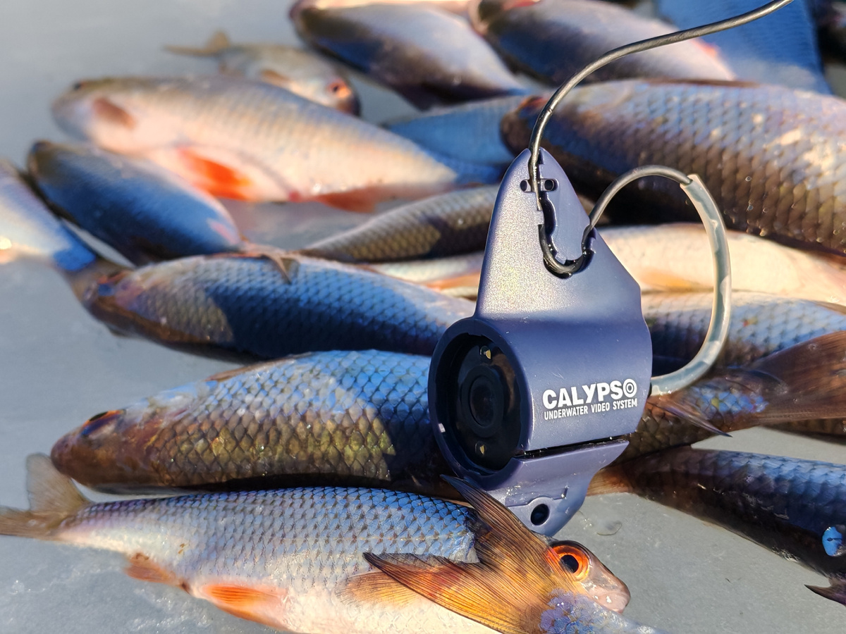 Если правильно использовать приборы и владеть зимней снастью, то в любой день и при любой погоде можно уйти с уловом